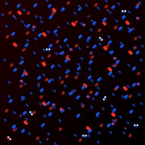 air, sample, thermodynamics